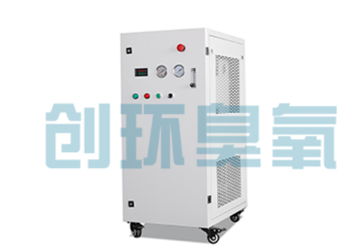 柳州石斑鱼养殖水质调控完整指南:臭氧发生器配置与操作步骤
