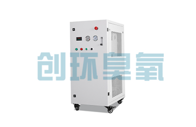 柳州比传统换水更高效?臭氧发生器在石斑鱼养殖中的水质净化原理解析