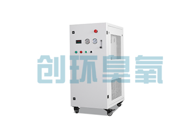柳州比传统换水更高效?臭氧发生器在石斑鱼养殖中的水质净化原理解析